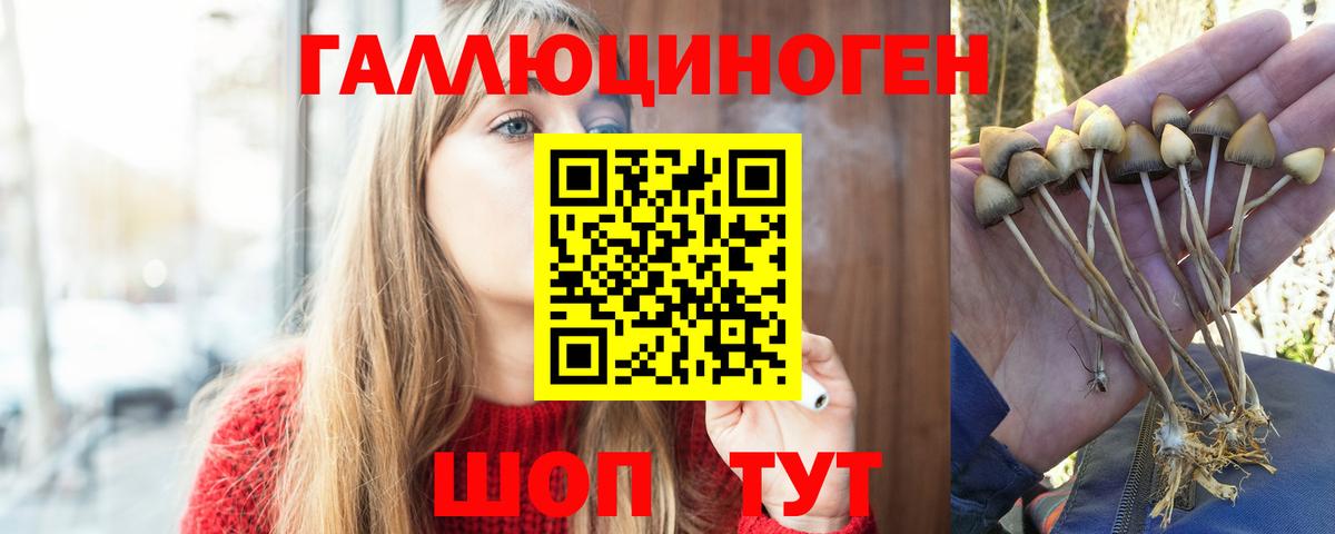 купить закладку  Псилоцибиновые грибы Cubensis  Вход с VPN  Бугуруслан 